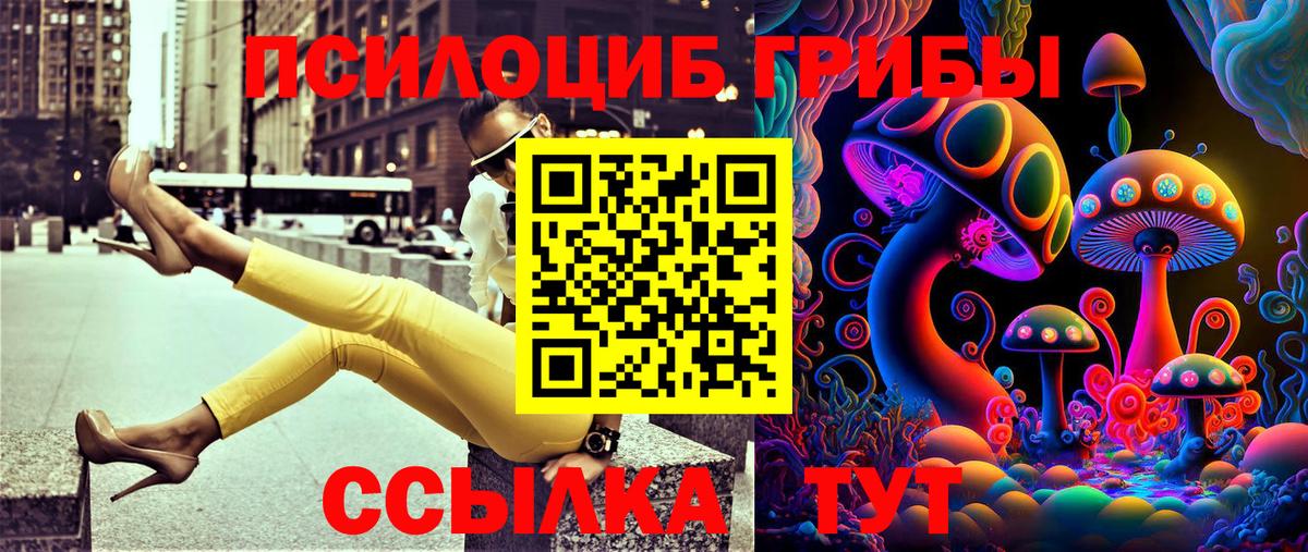 Городец  Галлюциногенные грибы Cubensis  Галлюциногенные грибы MAGIC MUSHROOMS  Вход с VPN 