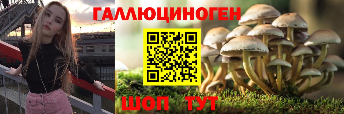 Галлюциногенные грибы Cubensis Городец
